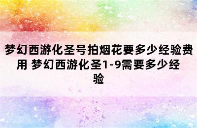 梦幻西游化圣号拍烟花要多少经验费用 梦幻西游化圣1-9需要多少经验